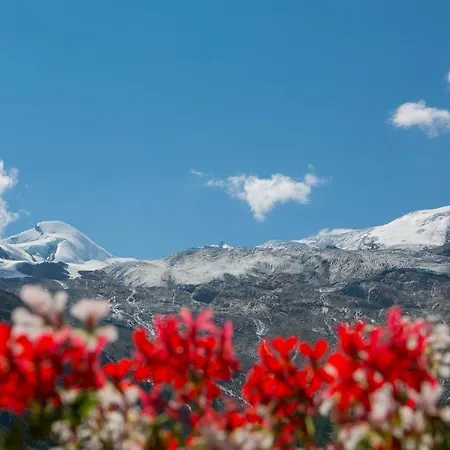 Artemis Easy Self Check In-out Hotel Saas Fee