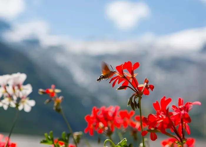 ホテル Artemis 3*