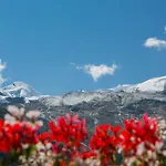 Artemis Hotel Saas-Fee