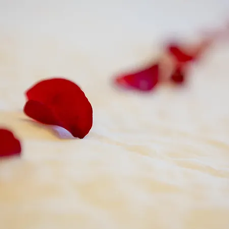 Artemis فندق 3*
